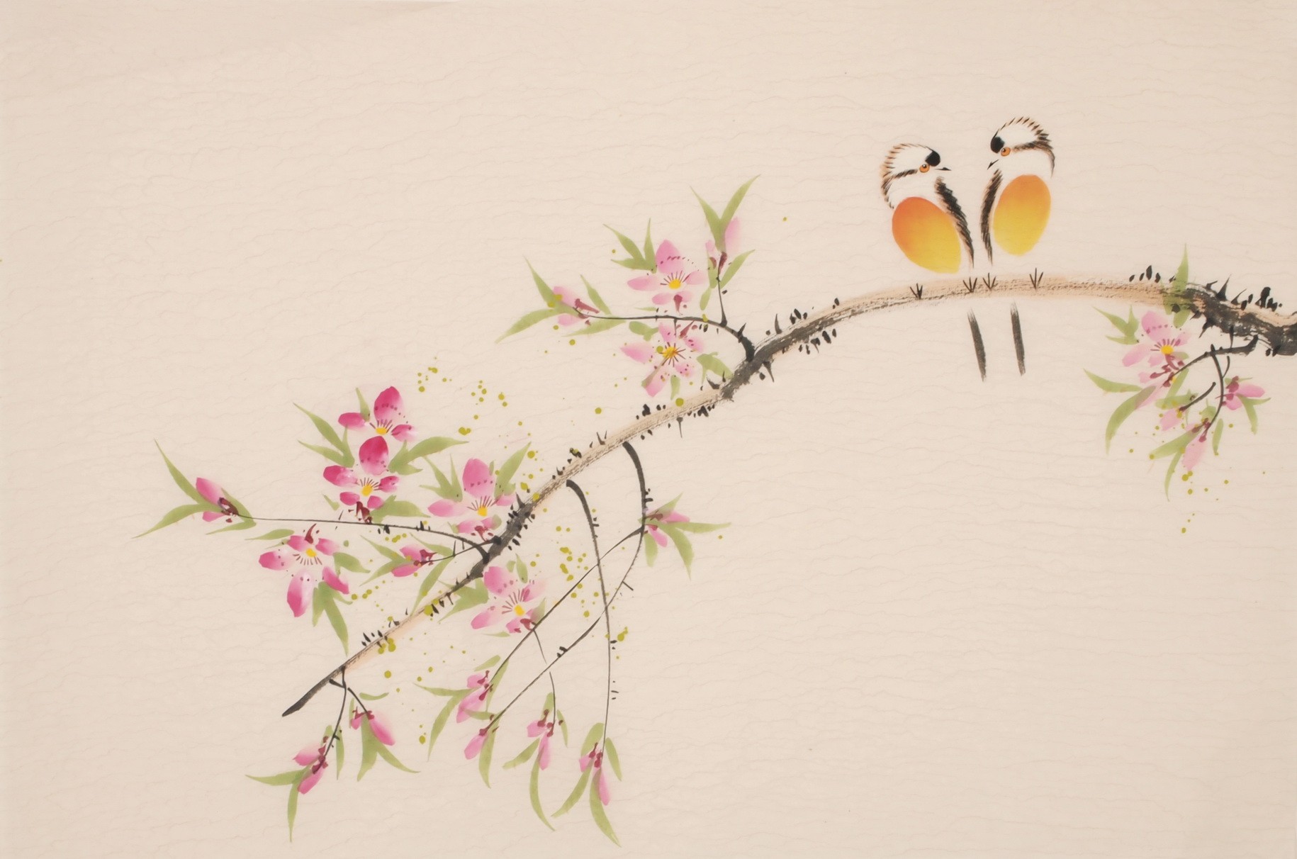 Peach Blossom - CNAG003765
