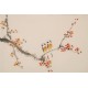 Plum - CNAG003771