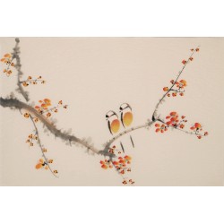 Plum - CNAG003771