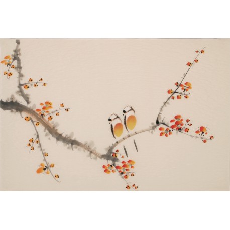 Plum - CNAG003771