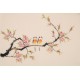 Peach Blossom - CNAG003772