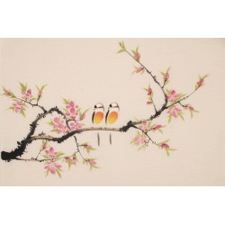 Peach Blossom - CNAG003772