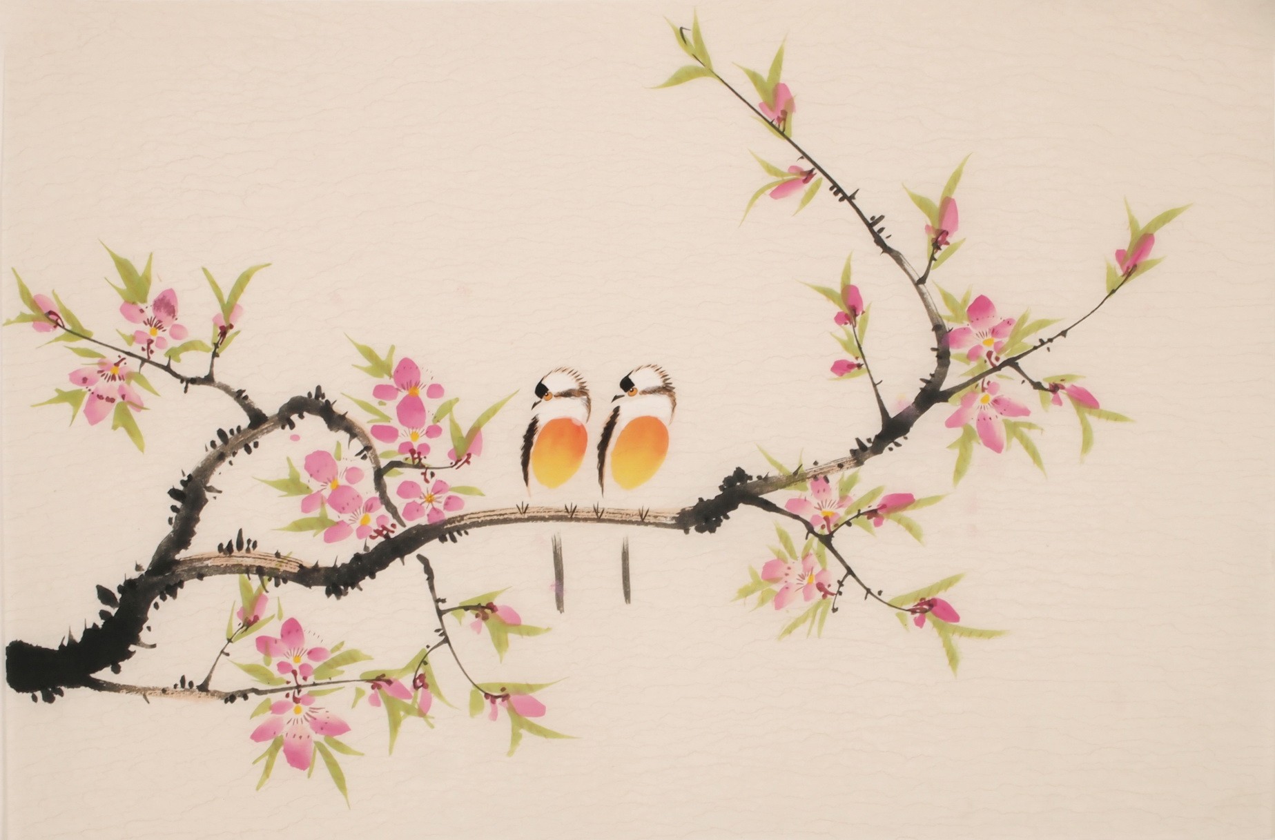 Peach Blossom - CNAG003772