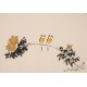 Chrysanthemum - CNAG003773