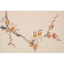 Plum - CNAG003777
