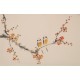 Plum - CNAG003778