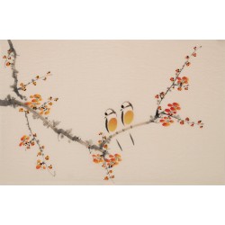 Plum - CNAG003778