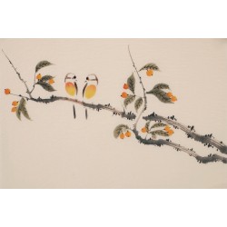 Other Birds - CNAG003781
