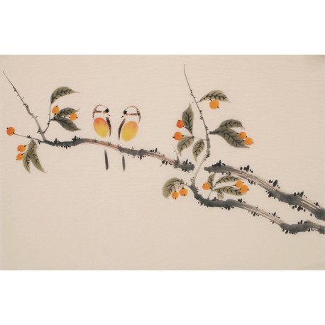 Other Birds - CNAG003781