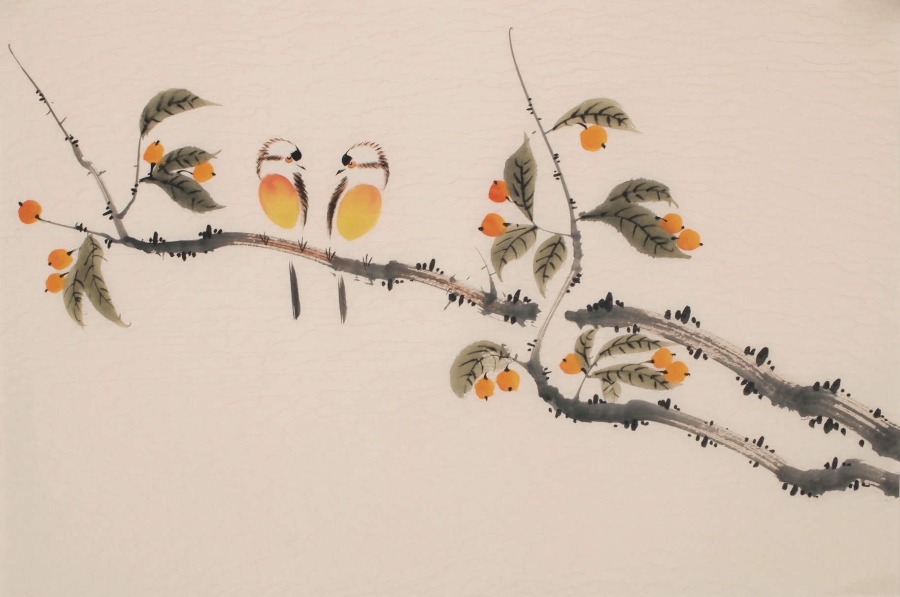 Other Birds - CNAG003781