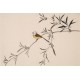 Ink Bamboo - CNAG003786