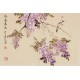 Wisteria - CNAG003788