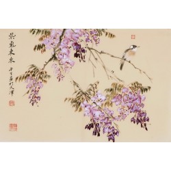 Wisteria - CNAG003788