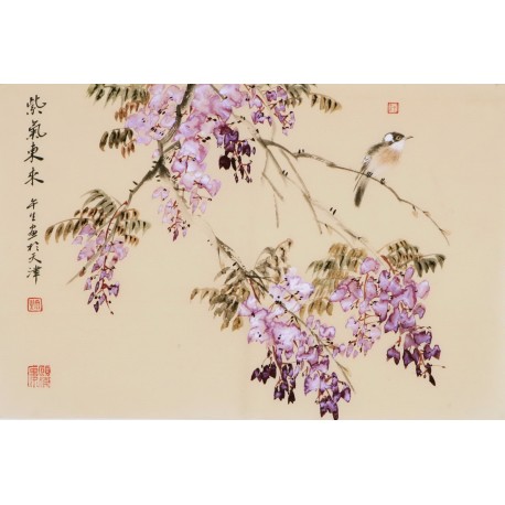 Wisteria - CNAG003788