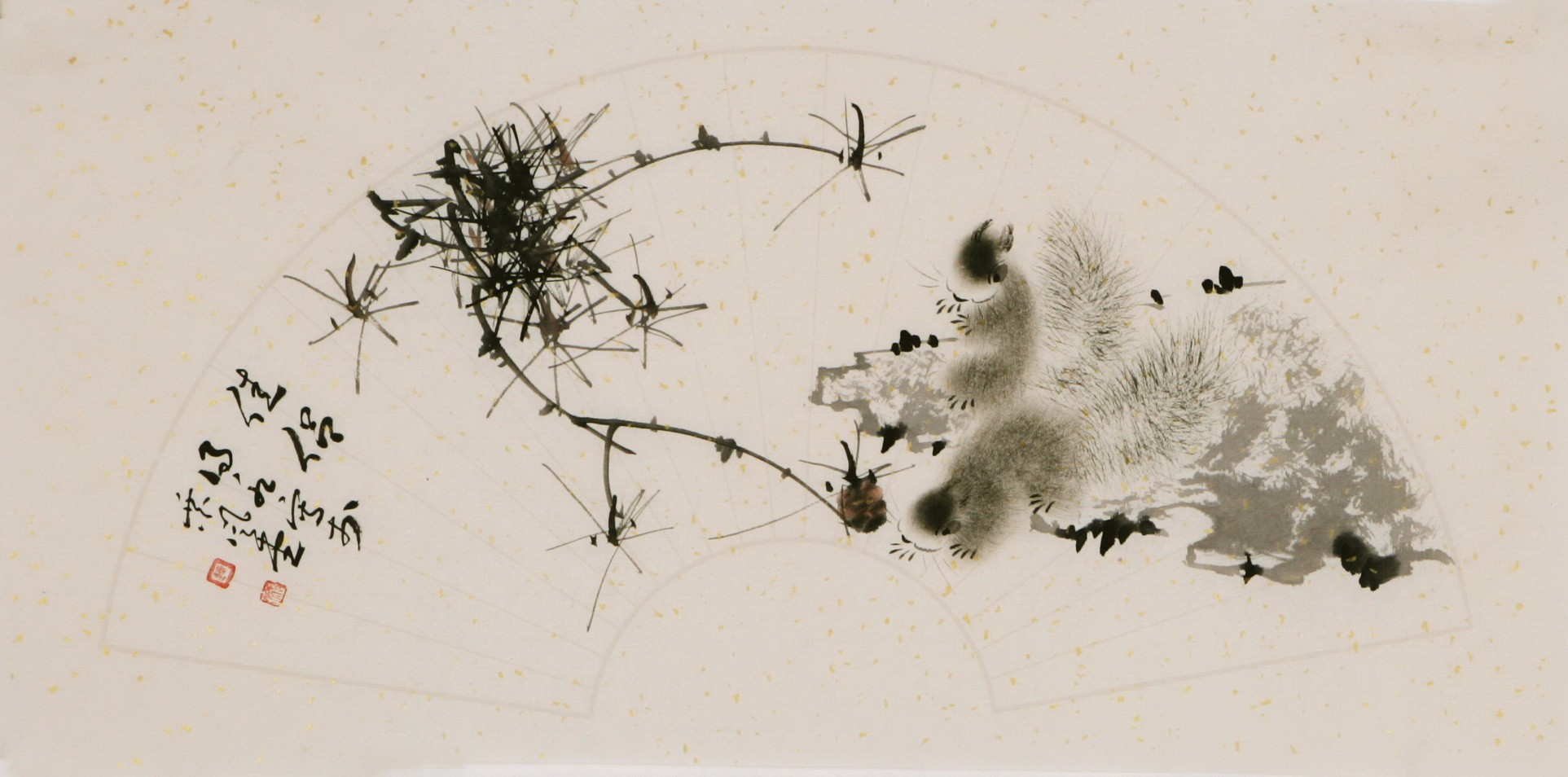 Squirrels - CNAG003792