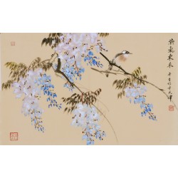 Wisteria - CNAG003795