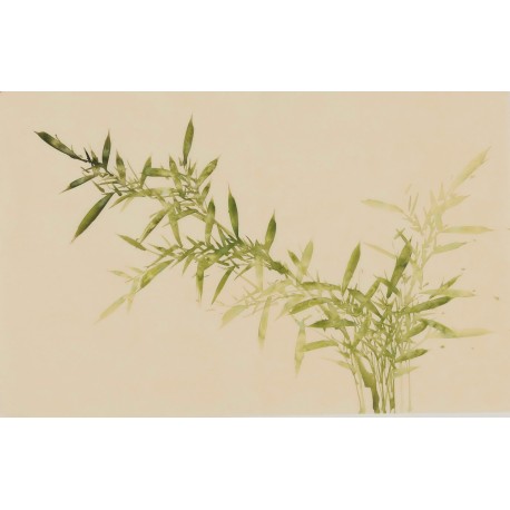 Green Bamboo - CNAG003797