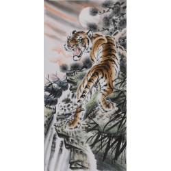 Tiger - CNAG000038