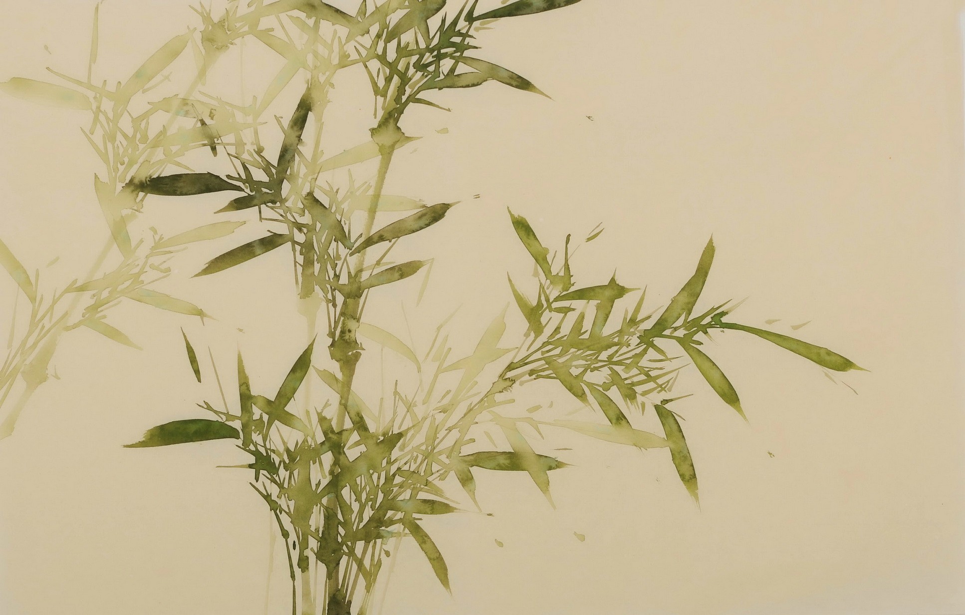 Green Bamboo - CNAG003803