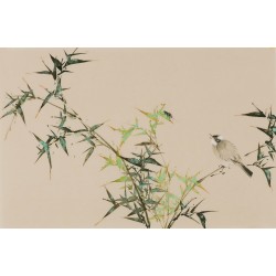 Green Bamboo - CNAG003805