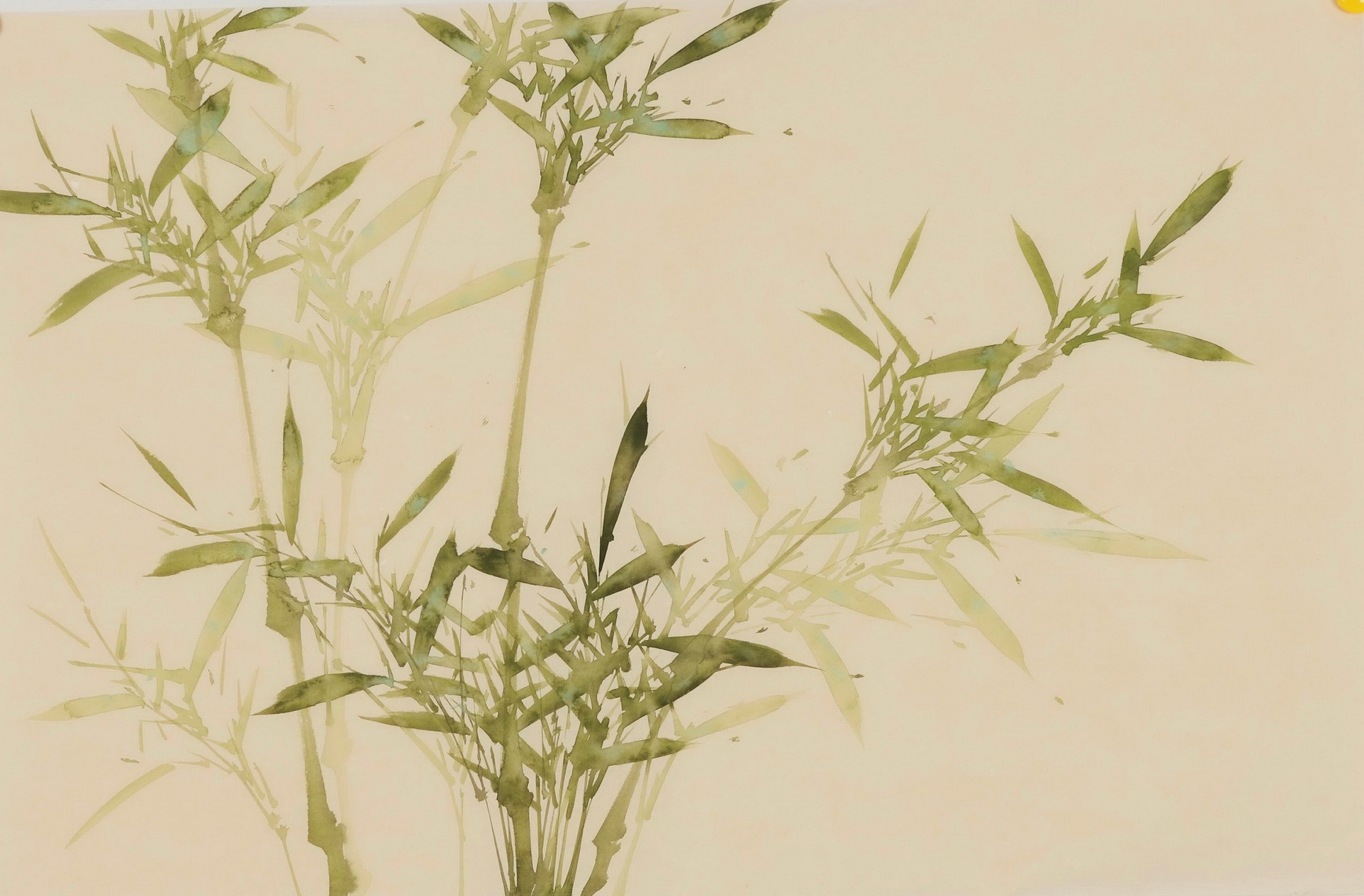 Green Bamboo - CNAG003807