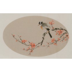 Plum - CNAG003811