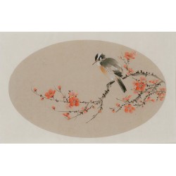 Plum - CNAG003812