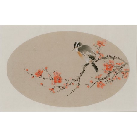 Plum - CNAG003812
