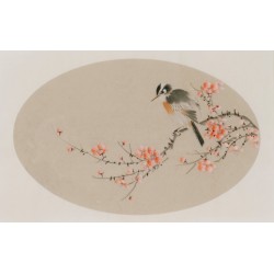 Plum - CNAG003814