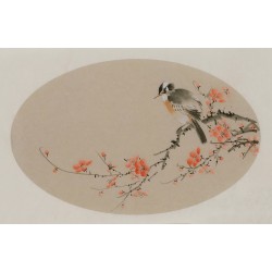 Plum - CNAG003815