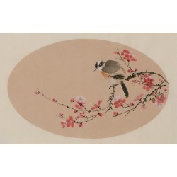 Plum - CNAG003817