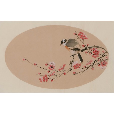 Plum - CNAG003817