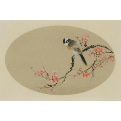 Plum - CNAG003818