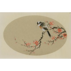 Plum - CNAG003819