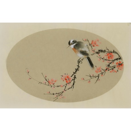 Plum - CNAG003819