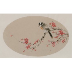 Plum - CNAG003820