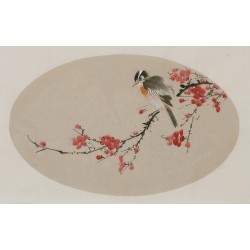 Plum - CNAG003822