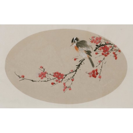 Plum - CNAG003822