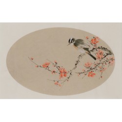 Plum - CNAG003824