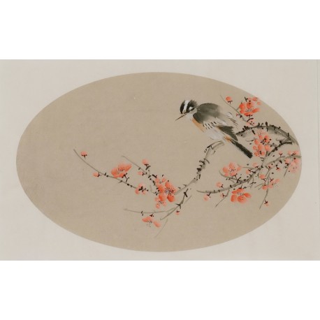Plum - CNAG003824