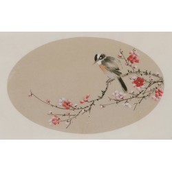Plum - CNAG003825