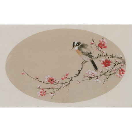 Plum - CNAG003825
