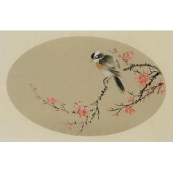Plum - CNAG003827