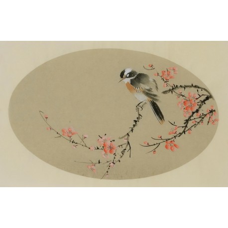 Plum - CNAG003827