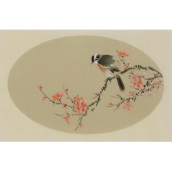 Plum - CNAG003828