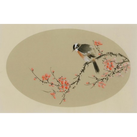 Plum - CNAG003828