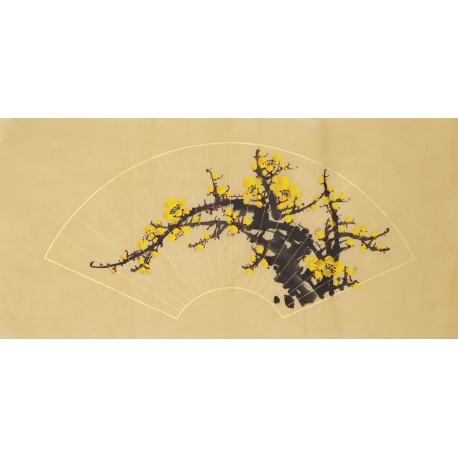 Plum - CNAG003829