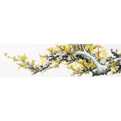 Plum - CNAG003830