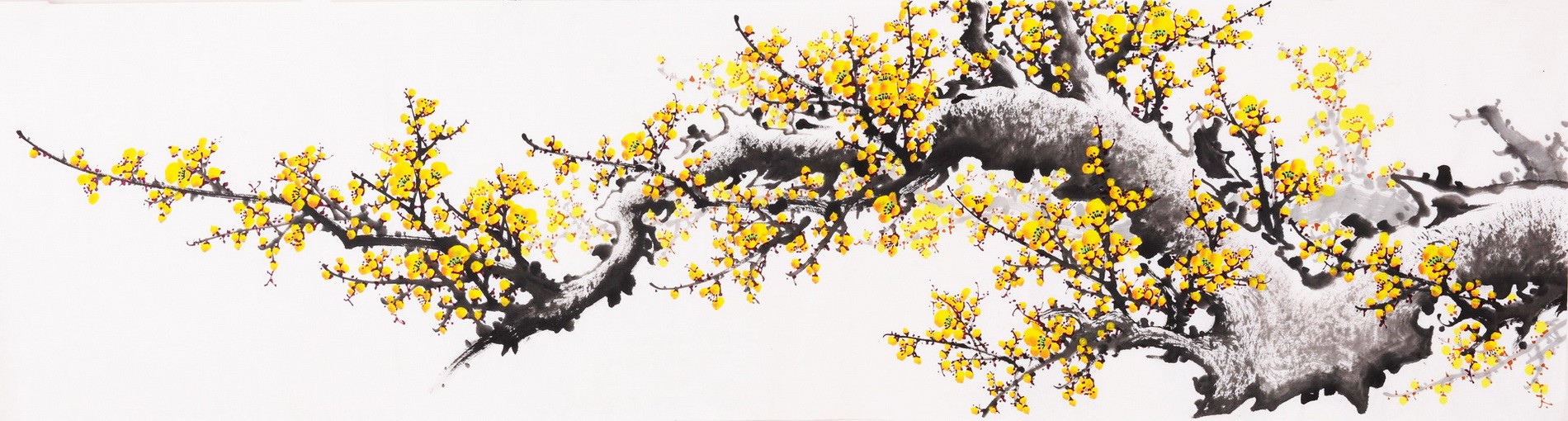 Plum - CNAG003831