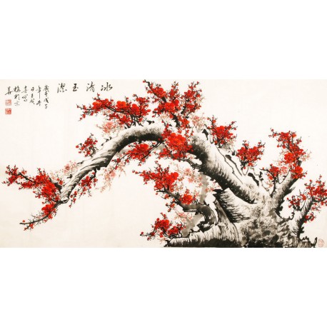 Plum - CNAG003832